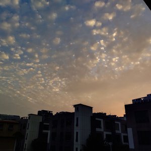 成人免费三级片
